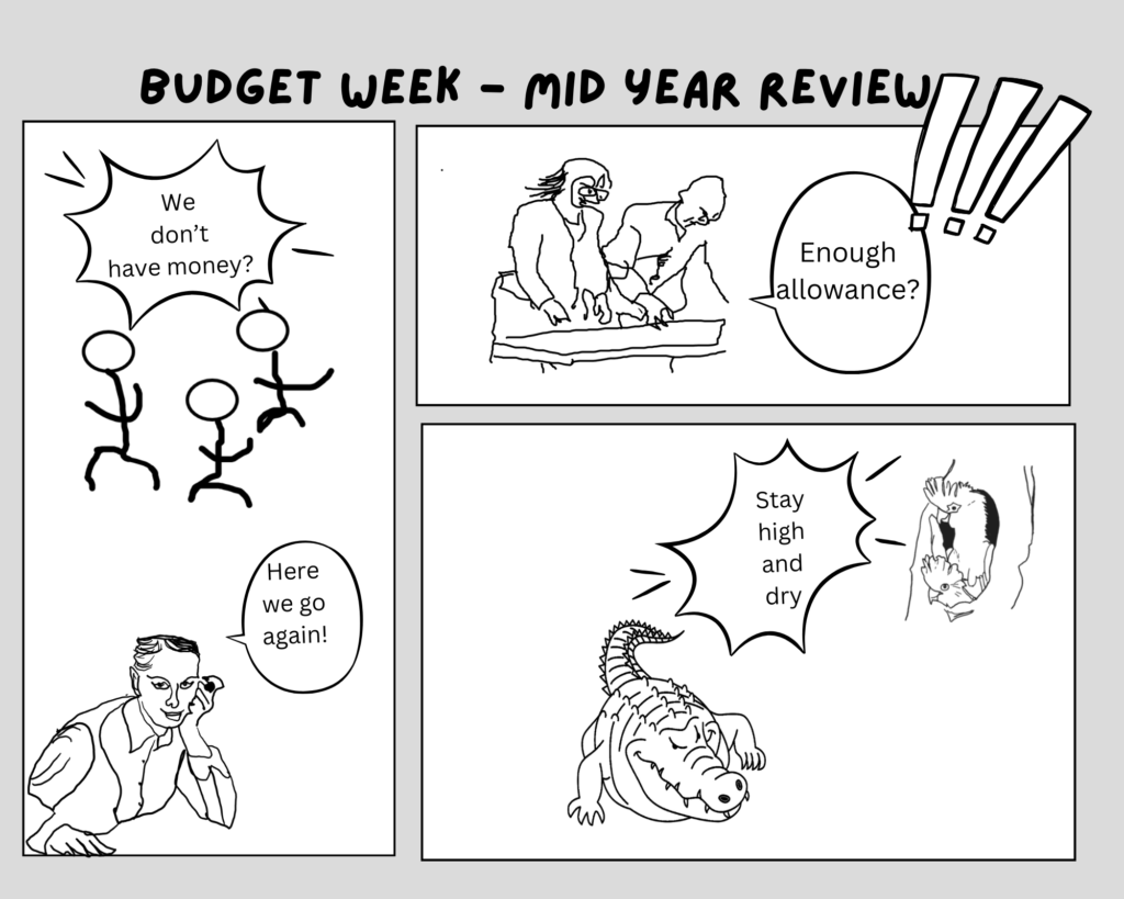 Episode 37 the mid year budget review starts