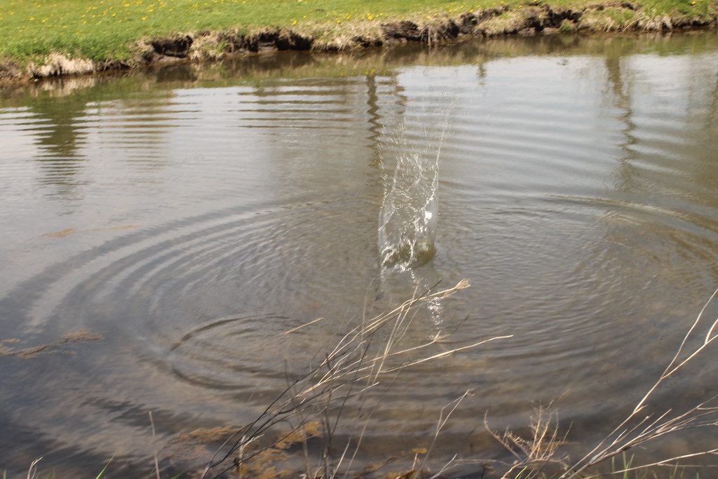 Ripples from thrown stones